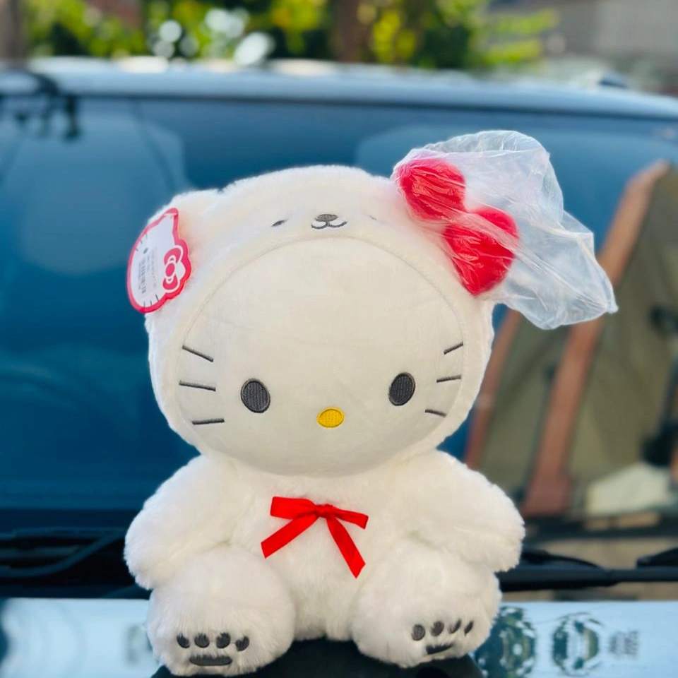 Kawaii Plush Toy