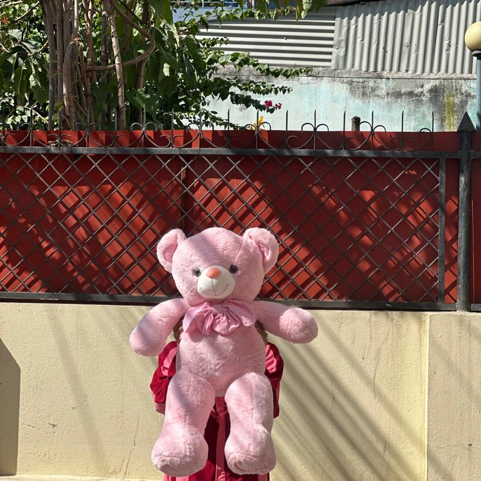 2.5ft Premium Soft Plush Teddy