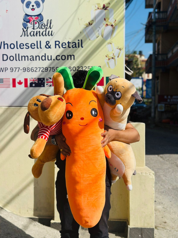 Cute Dog & Carrot Plush Toy – Adorable Soft Doll