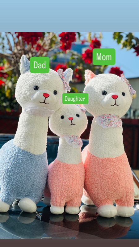 Cute Alpaca Plush Toy Nepal – Soft & Fluffy Doll