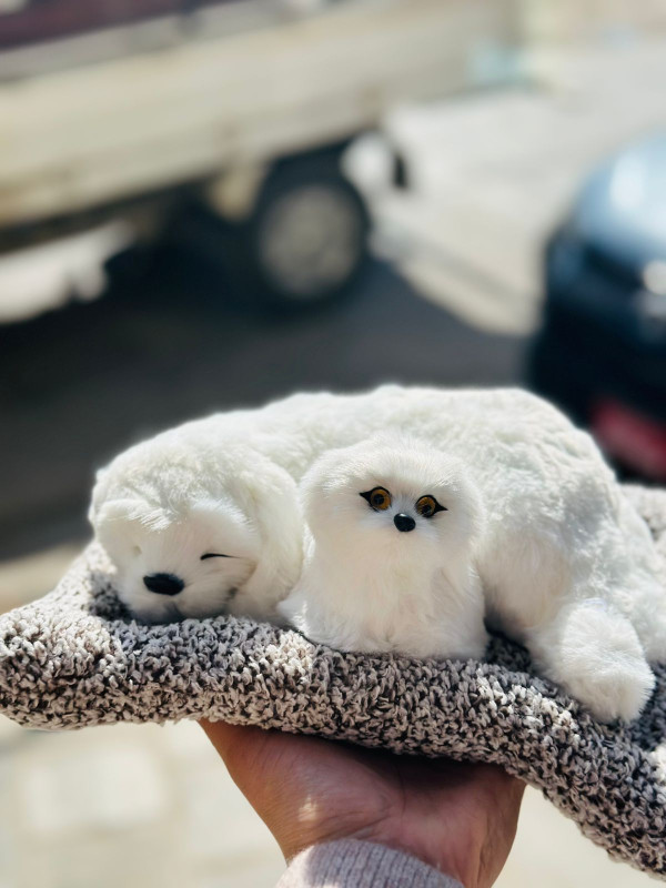 Soft White Dog Plush – Lovely Home Décor Accent