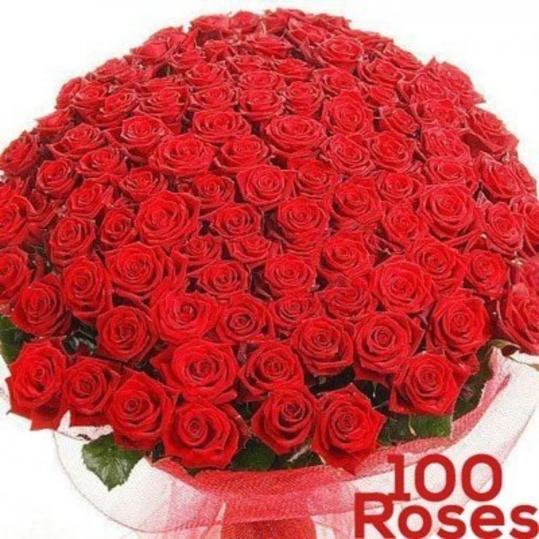 100 Long Stem Red Roses with Free Cadbury Silk Chocolate